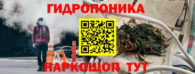 прущие крисы Кунгур